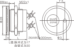 PS 223 Z